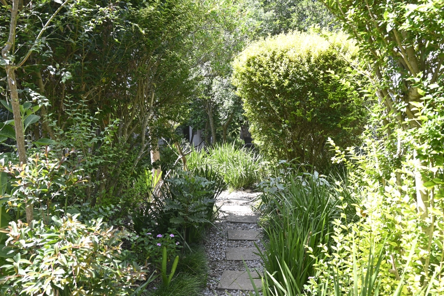 To Let 5 Bedroom Property for Rent in Rheenendal Western Cape